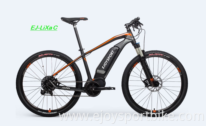 Fat E Bike